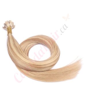 Honey Brown & Ash Blonde #12/24 Fusion Remy Hair