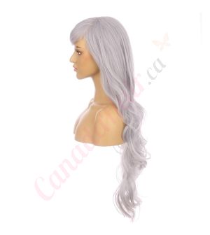 DM1611035-v4 Grey Extra Long Synthetic Hair Wig with Bangs [FINAL SALE]