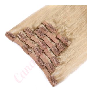 clip in extensions	ash blonde ombre 