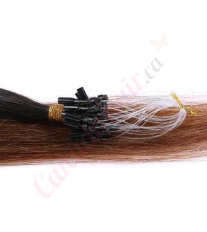 Ombre Chestnut Brown Micro-loops Human Hair