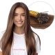 Chestnut Brown #6 Fusion Human Hair