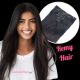 Jet Black #1 Clip-ins Remy Hair
