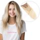 Ombre Ash Blonde Clip-ins Human Hair