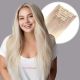 Ombre Ash Blonde Clip-ins Synthetic Hair [FINAL SALE] 