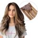 Ombre Balayage Clip-ins Human Hair