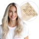 Platinum Blonde Clip-ins Human Hair