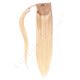 Light Blonde Ombre Ponytail Human Hair
