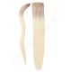 ponytail hair extensions	ash blonde ombre 