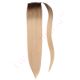 ponytail extensions	blonde ombre 