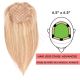 14 inch Topper (Full Coverage) Honey Brown & Ash Blonde #12/24 Remy Human Hair 95g (Base 6.5
