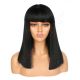 DM1810844-v2 - Short Black Synthetic Hair Wig With Bangs [FINAL SALE]