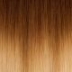 18 inch Clip-ins Remy Human Hair Warm Chestnut Brown to Golden Blonde #T4122 100g