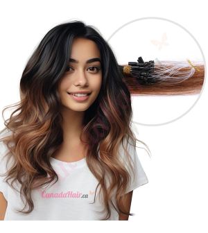 Ombre Chestnut Brown Micro-loops Human Hair