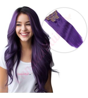 Purple Clip-ins Human Hair